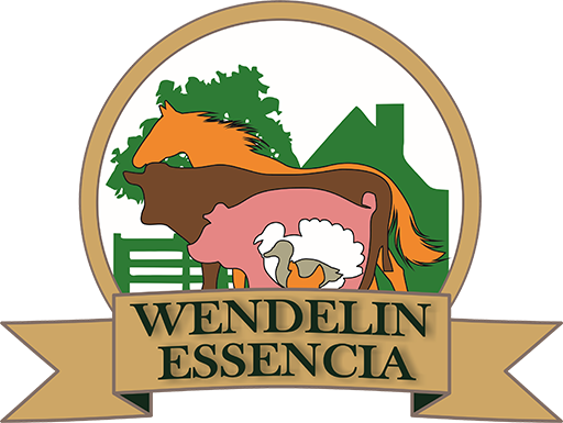 wendelis-essencia